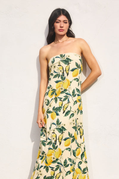 Vintage Lemonade Maxi